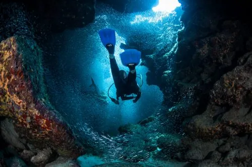 Traumstrand auf den Bahamas mit türkisblauem Meer