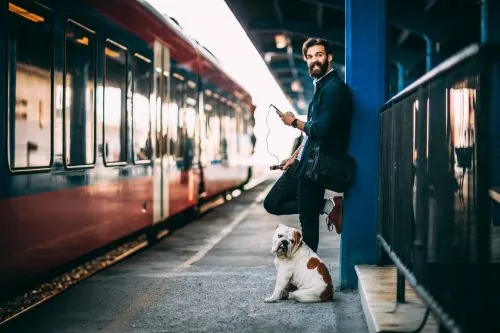 Hund und Mensch gemeinsam unterwegs in der Natur