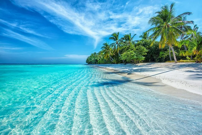 Tropischer Strand mit Palmen und türkisblauem Wasser